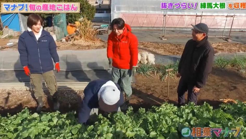 《相叶学》二宫和也与相叶雅纪联手探访武士文化